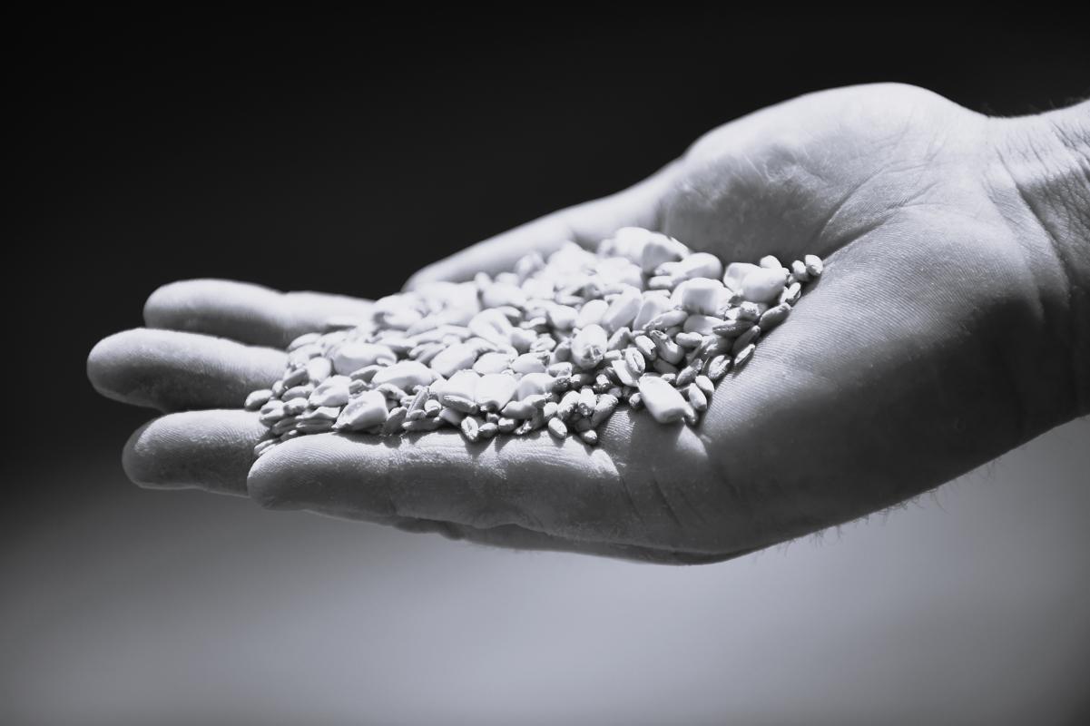 _THI3108 - Copie.JPG